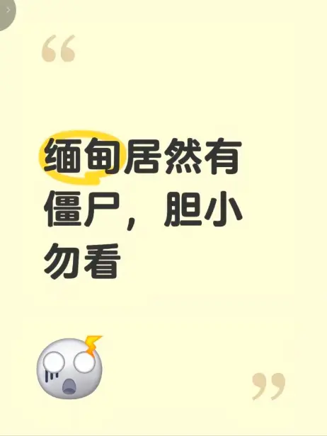 《缅甸僵尸出土事件》高清完整版在线播放 - 现场全程录像揭秘真相 - 缅北僵尸出土事件无删减免费观看