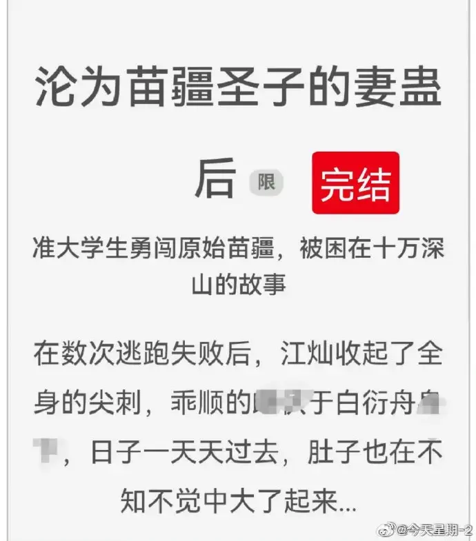 《沦为苗疆圣子的妻蛊后》狐狸雨小说txt下载-全集无删减完整版在线看-免费阅读资源分享推荐收藏-沦为苗疆圣子的妻蛊后