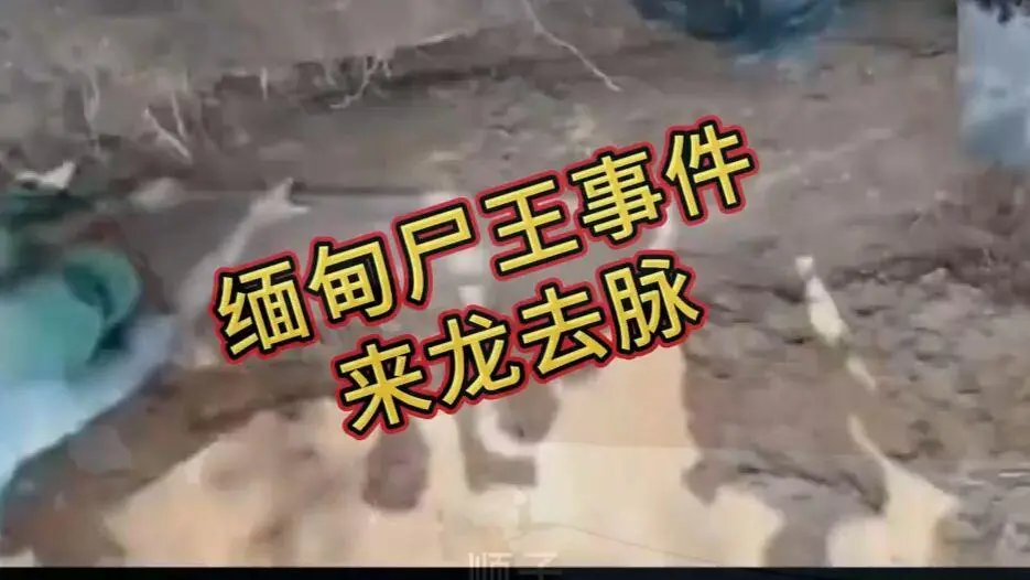 《缅甸僵尸出土事件视频》完整版资源下载 - 缅北僵尸出土事件始末原视频高清下载 在线观看免费播放